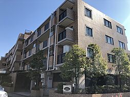 ライネスハイム西船橋 503