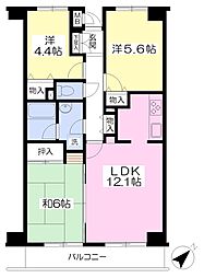 ベルヴェデーレ 3LDKの間取図画像