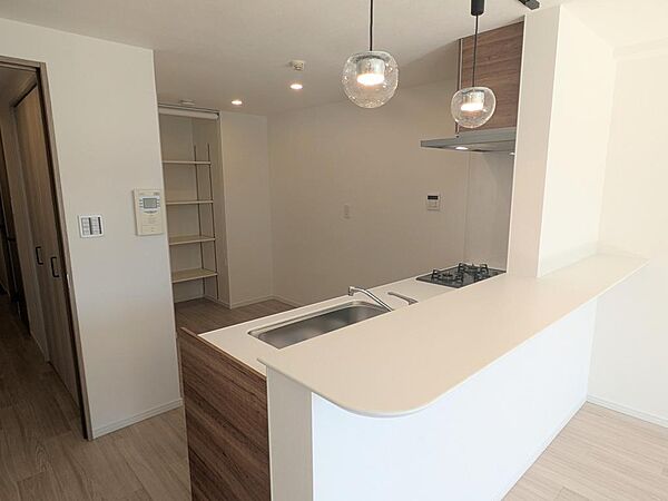 キッチンの後ろは広々したスペース＆パントリー付き。お料理好きの方はもちろん、ご夫婦やお子さんと一緒に料理をしても十分な広さがあります♪