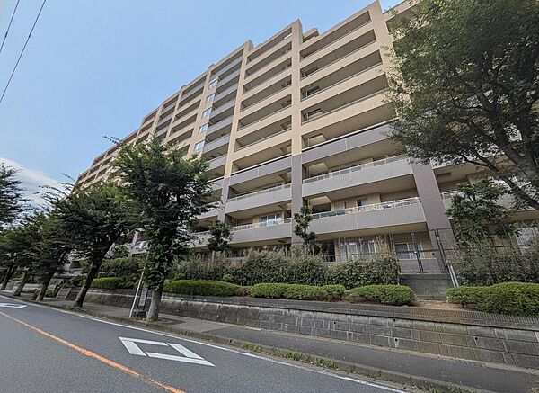 外観：312001304256