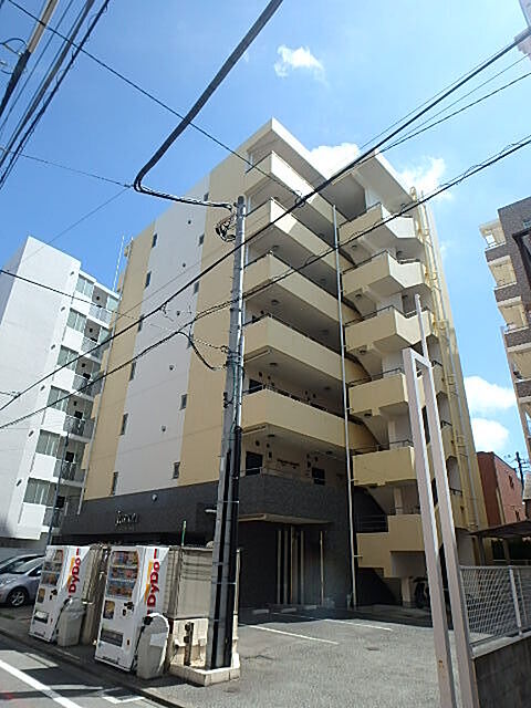12 / 19
