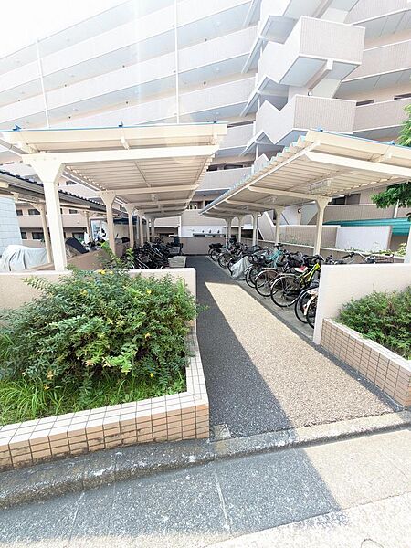 駐輪場です！屋根付きなので多少の雨はしのげそう！