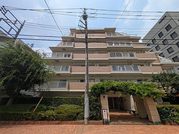 2026年7月撮影