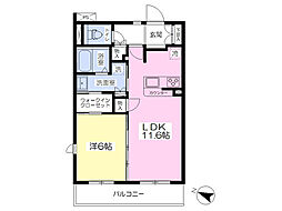 クラッシィーコート 1LDKの間取図画像