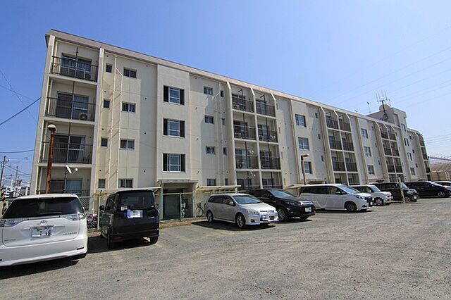 10 / 33