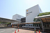 大学