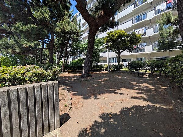 マンションの目の前には小さなお子様も遊べる広場があります！