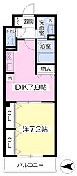 アカシアコート 1DKの間取図画像
