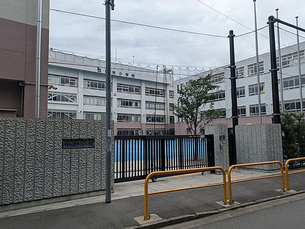 数矢小学校まで約253ｍです♪