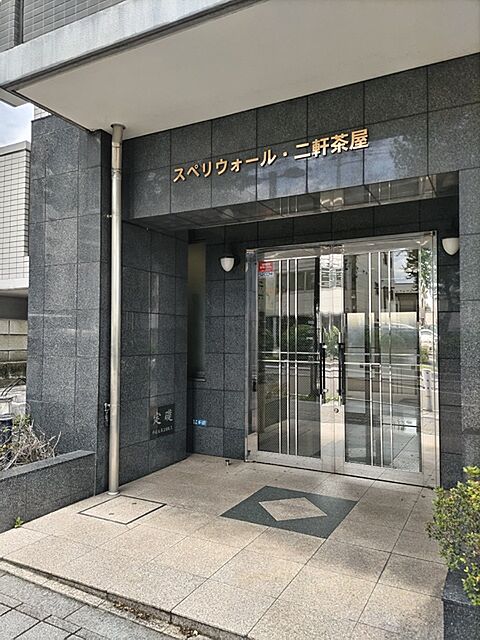 11 / 11
