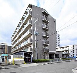 6 / 16