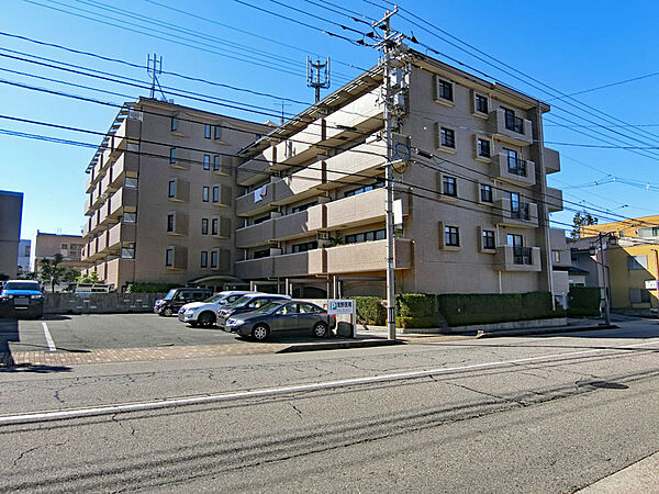 外観：317000011445