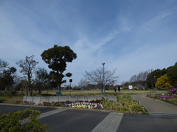 弁天ふれあいの森公園（650m）