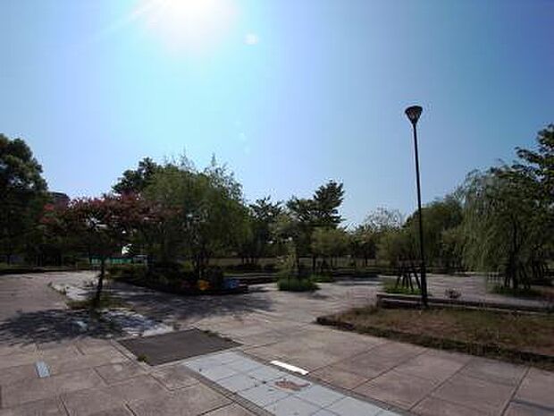 高洲中央公園（520m）