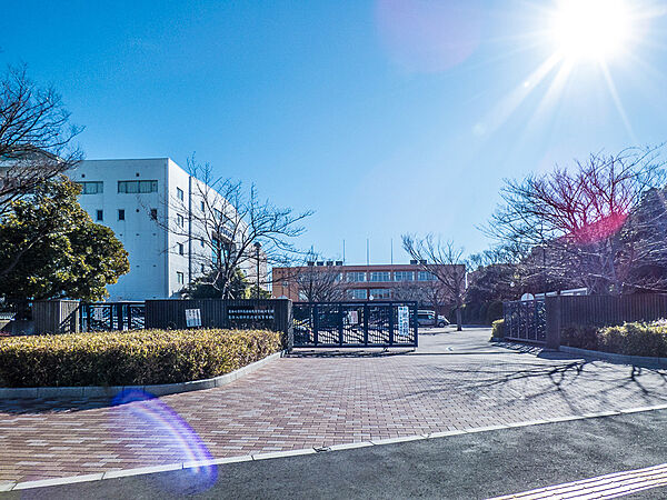 私立東海大学付属浦安高等学校・中等部（810m）