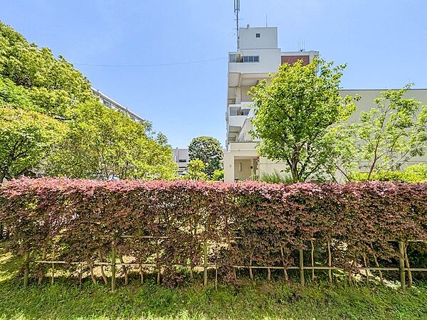 陽光が差し込むバルコニーからの眺め 。敷地内の豊かな植栽が、日々の暮らしに安らぎと彩りを添えてくれます。