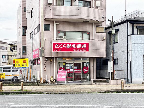 さくら動物病院（300m）
