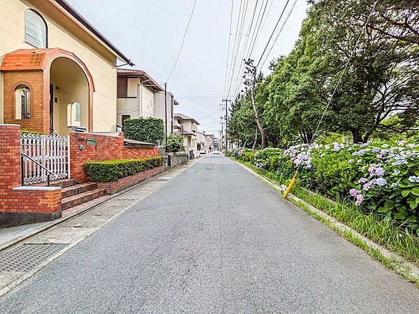 右手に東海面公園の緑が広がる北西側公道写真。幅員約6.0mのゆとりある道路環境となっております。