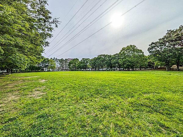 現地の目の前に位置する東海面公園。豊かな緑が広がり、お子様の遊び場や散策にも嬉しい身近な自然環境です。