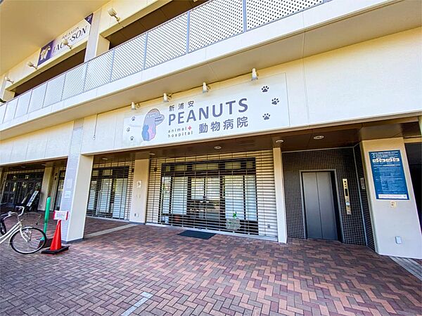 新浦安PEANUTS動物病院（1170m）
