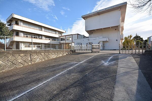 画像4:新里東小学校(780m)