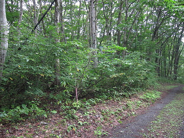 外観：320000022641