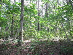 長野県上水内郡信濃町大字野尻大学村