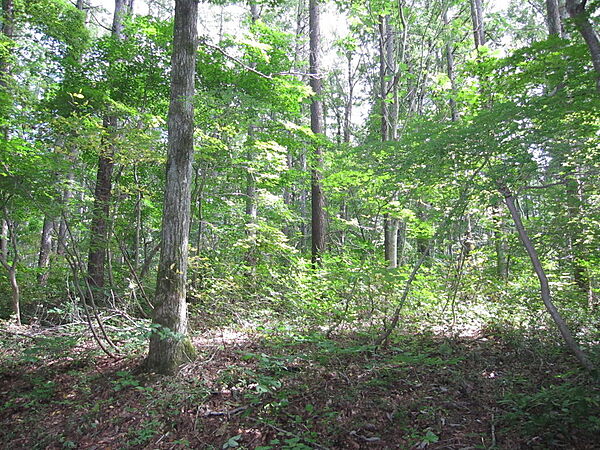 外観：320000022642