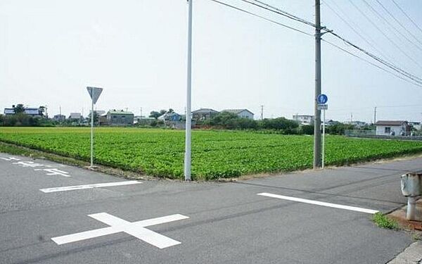 外観：323000480217