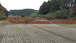 千葉県山武市雨坪185-