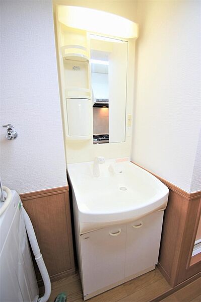画像17:人気設備のシャワー付き洗面化粧台です。身だしなみを整える際に便利です