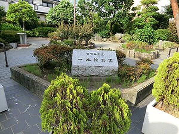 一本松公園