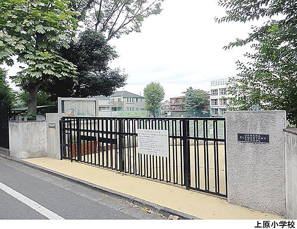 上原小学校