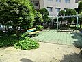 周辺環境:玉川...