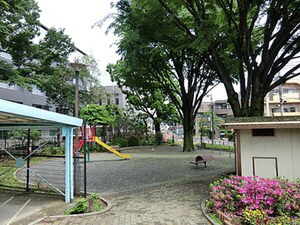 周辺環境:松沢公園