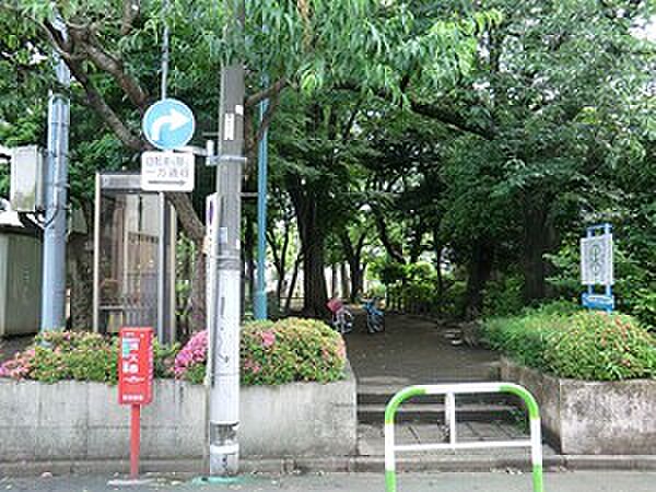 周辺環境:森の公園