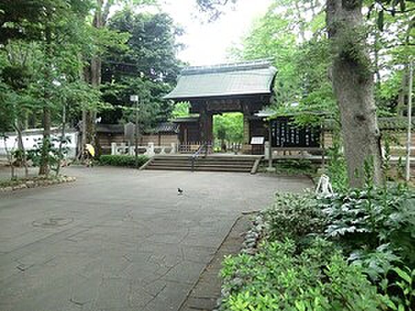 鷺草園