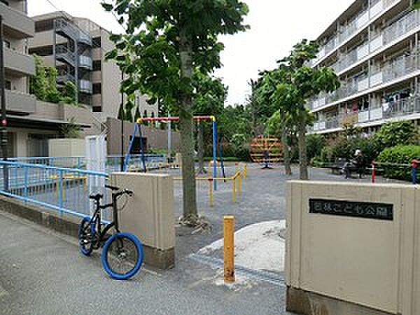 周辺環境:若林こども公園
