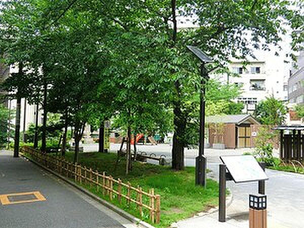 周辺を拡大表示