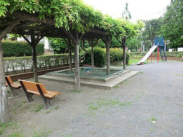 桐の木公園