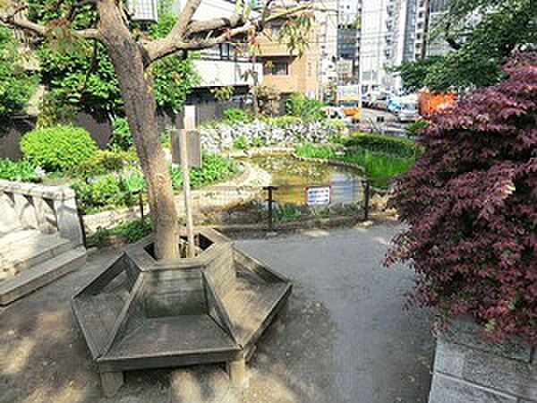 周辺を拡大表示