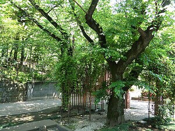 周辺環境:乃木公園