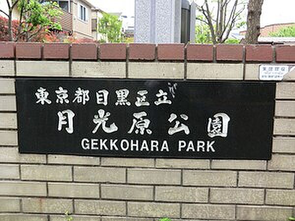 周辺環境:月光原公園