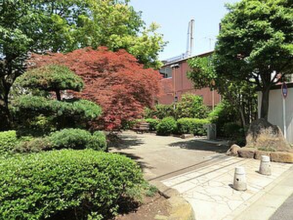 周辺環境:しいのき公園