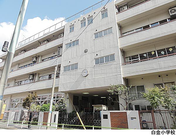 白金小学校