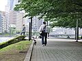 明石町河岸公園
