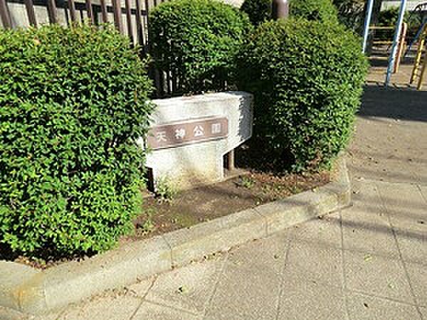 周辺環境:天神公園