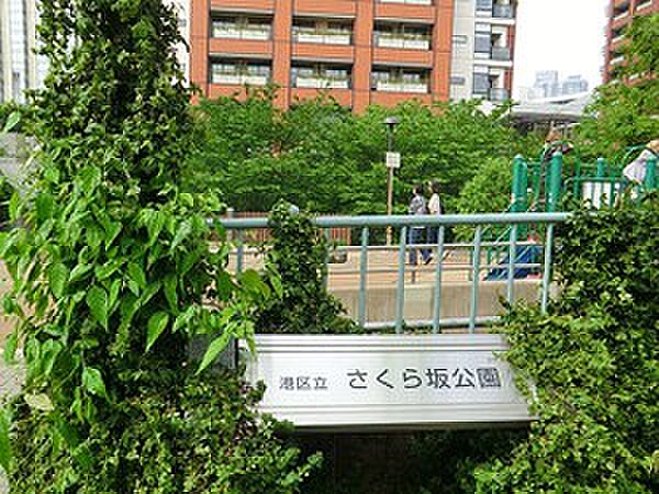 さくら坂公園