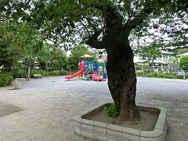 周辺環境:若宮オリブ公園