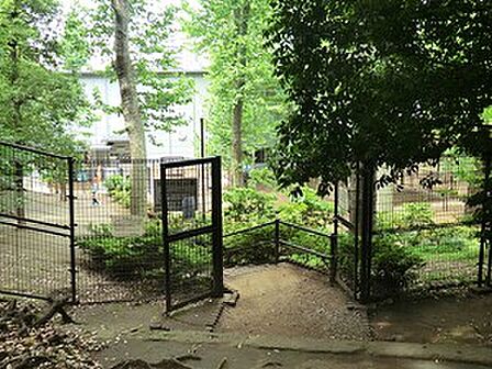 周辺環境:氷川の杜公園